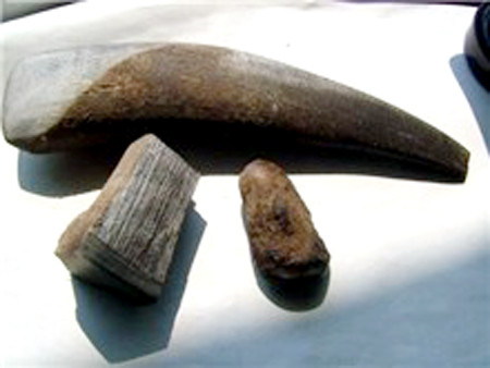 Ngoài ra, sừng trâu cũng được tận dụng để làm thành loại thần dược sừng tê giác quý hiếm. Ảnh: Người đưa tin