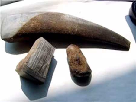 Ngoài ra, sừng trâu cũng được tận dụng để làm thành loại thần dược sừng tê giác quý hiếm. Ảnh: Người đưa tin