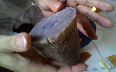 Sừng tê giác làm giả từ sợi bông tổng hợp, lấy nhựa để kết gắn bột rồi đổ thành khuôn, trạm trổ các đường vân giống hệt như vân sừng của tê giác. Ngoài ra chúng được tẩm hóa chất vừa tạo màu, tạo mùi để khi mài trong nước sẽ cho mùi và màu như sừng thật. Nhờ đó mà các đầu nậu có thể thu về cả trăm triệu từ tay những người giàu mê tẩm bổ bằng sừng tê giác.