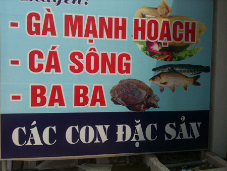 "Các con đặc sản".