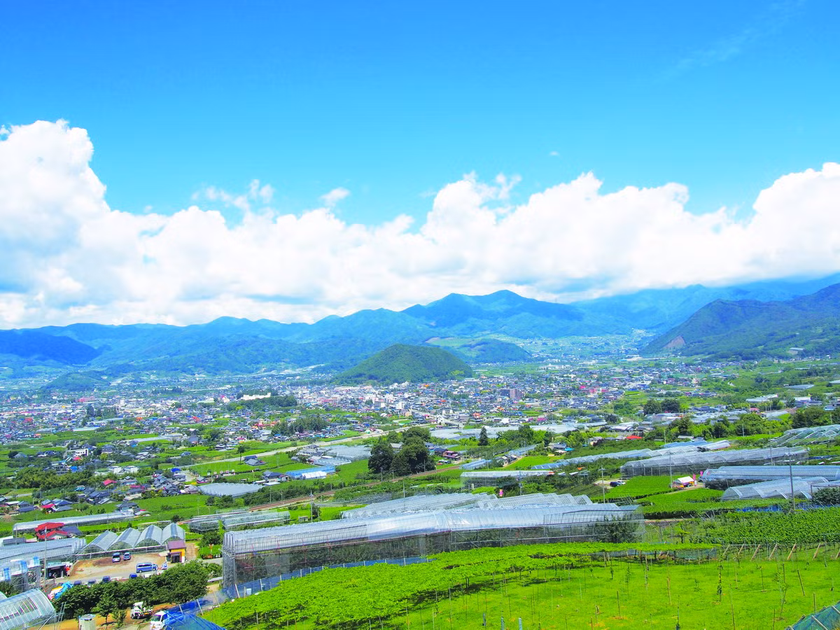 Man nhan thien duong trai cay hai ra tien, dep hut mat-Hinh-2