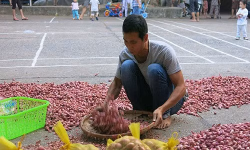 Toi Ly Son chay hang lay dau 300 tan e o Ha Noi?-Hinh-2