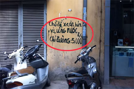 Thu phí rõ ràng, 5.000 đồng/ lần chỉ đường.