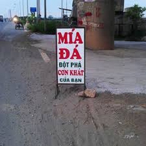 Quá gây chú ý với khách đi đường.