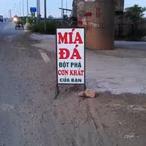 Quá gây chú ý với khách đi đường.