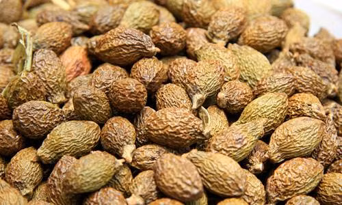 Tại Hà Nội, các trang mạng rao bán hạt ươi khô cũng "hét" giá tới 400.000 - 500.000 đồng/kg. Hạt ươi thường dùng chữa ho khan, cổ họng sưng đau, chảy máu cam, viêm đường tiết niệu, nhức răng, đau mắt đỏ, mụn nhọt. Dân gian hay dùng để làm mát và nhuận cơ thể. Chính vì thế, loại hạt đặc sản này nhanh chóng "sốt xình xịch".