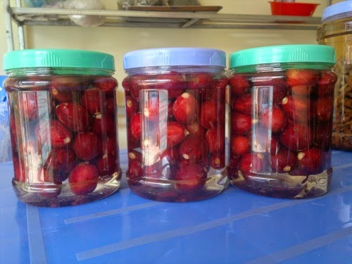 Chúng được xem là đặc sản "hái ra tiền" của không ít người dân miền núi.