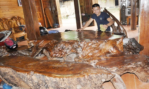 Được ví như báu vật núi rừng, khối gỗ gù hương đã được một người dân ở Lào Cai mang về và chế tác thành bộ bàn ghế hoành tráng, độc lạ. Không ít lần, khối gỗ này được trả giá đắt đỏ song chủ nhân không bán mà giữ lại để làm đồ nội thất trong nhà. Ảnh: Báo Lào Cai.