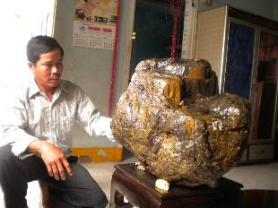 Gốc cây gỗ hóa thạch lộ ra những vân gỗ, thớ gỗ với nhiều hình dạng kỳ thú đẹp mắt.