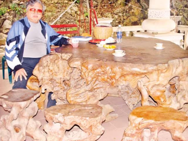 Gỗ gù hương của ông có tuổi đời tới 4.000 năm, ông Đức đã phải thuê 15 người đào gốc cây, đồng thời thuê máy móc và vận chuyển trong gần một tháng. Ít ai ngờ, gốc gỗ ông mua lại có tuổi đời cao như vậy, thậm chí có người ngã giá 130.000 USD song đại gia này không đồng ý. Ảnh: Gia đình &amp; Xã hội.