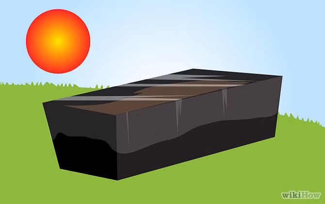 Dùng màng bọc thực phẩm, bọc chậu đất gieo hạt lại và đặt chúng ở nơi có ánh nắng chiếu tới.