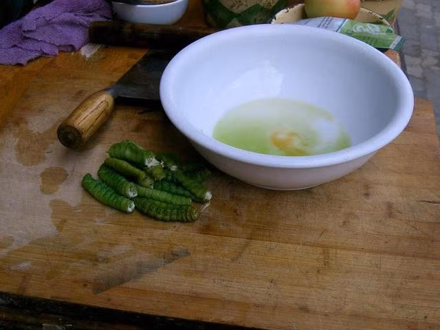 Ngoài ra, một số người còn nghiền sâu hoặc băm nhỏ trộn với một số nguyên liệu và gia vị để làm thành thịt sâu bằm, thường được cho vào nấu cùng với canh rau.