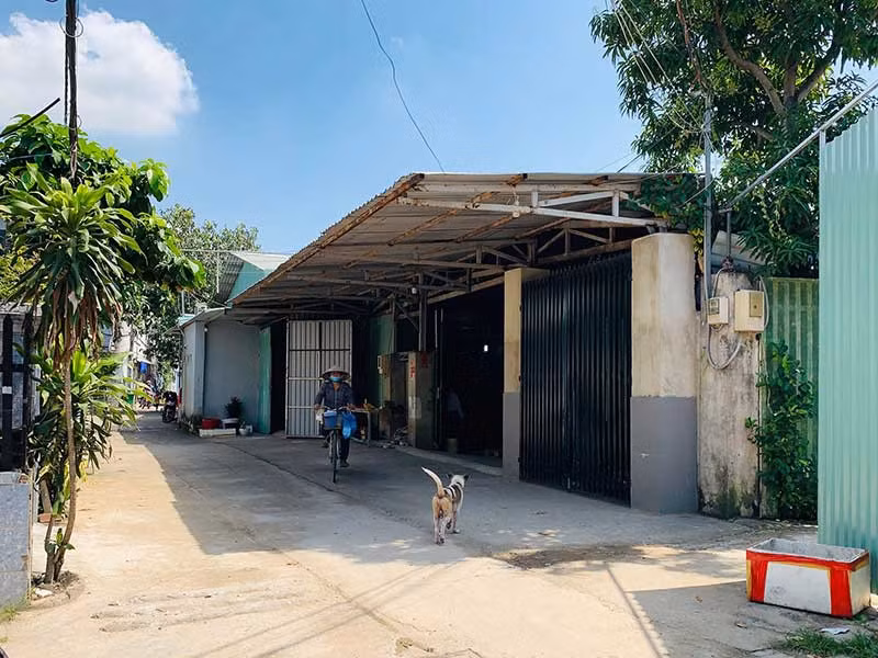 Pho chu tich HDND Thu Duc va nguoi than xay khong phep