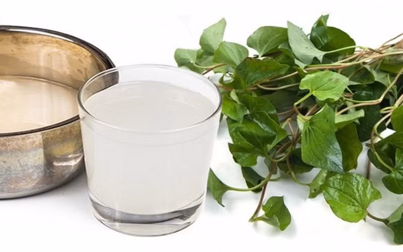 Rau diếp cá và nước vo gạo trị ho, sốt: Một nắm lá diếp cá, rửa sạch, giã nhuyễn, sau đó trộn đều với một bát nước vo gạo và đun sôi nhỏ lửa khoảng 20 phút. Cuối cùng, lọc lấy nước cho bé uống.