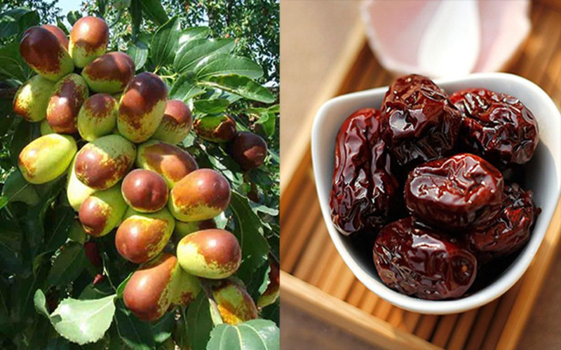 Cải thiện các vấn đề về tiêu hóa: Chất polysacarit trong táo tàu làm tăng cường niêm mạc thành ruột, từ đó cải thiện tất cả các vấn đề tiêu hóa.