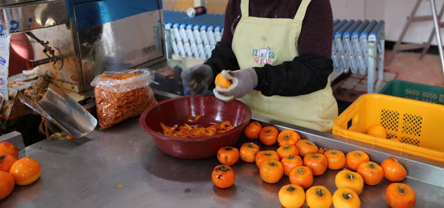 Quả hồng chín được thu hoạch vào khoảng đầu tháng 10 đến giữa tháng 11 và đem đi để phơi khô.