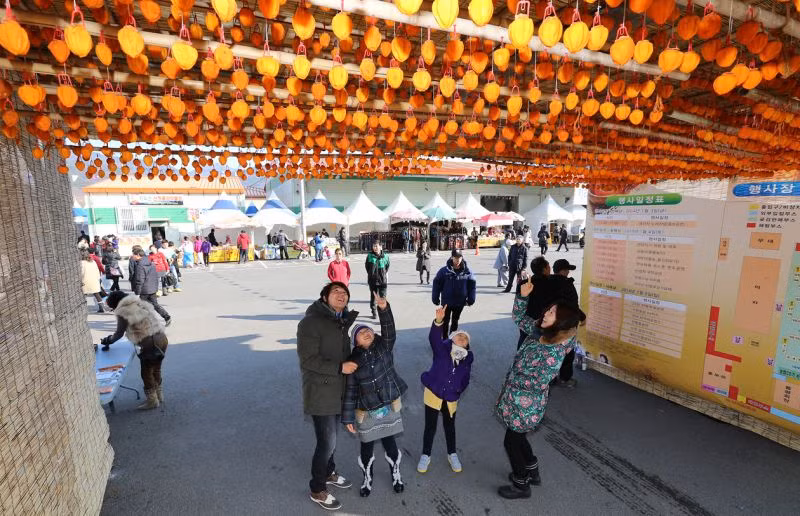 Hàng năm, Yeongdong thường tổ chức lễ hội hồng khô với các chương trình trải nghiệm thực tế khác nhau, từ gọt hồng, treo hồng, thu hoạch quả hồng và làm mứt hồng cho đến ngâm chân lá hồng. Ảnh: Internet. Video "Chế biến món ngon từ nấm đông cô". Nguồn: VTC.