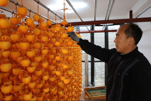 Sau khâu gọt vỏ, quả hồng được đục một lỗ và buộc dây vào chuẩn bị cho quá trình phơi khô.