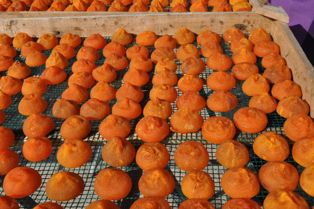 Sau công đoạn cuối cùng, quả hồng khô Hàn Quốc được tạo hình thành hình bánh rán bằng tay.