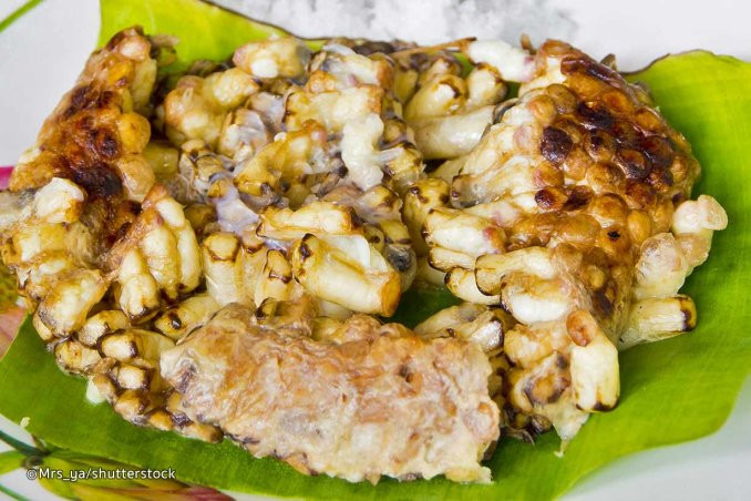 Tuy nhiên, nếu du khách nhất định muốn thưởng thức món salad có vị đặc biệt này thì có thể cất công tìm đến nhà hàng Warung Dita ở Ahmad Yani, Denpasar. Đây có lẽ là một trong số ít những nhà hàng vẫn bán món salad nhộng ong trong thực đơn. Ảnh: Internet. Video "Chế biến món ngon từ nấm đông cô". Nguồn: VTC.