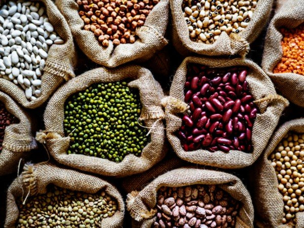 Các loại đậu: Đậu lăng, đậu, đậu nành và đậu phụ là một số loại đậu tốt nhất cho người bệnh gút. Ăn đậu giàu protein và chất xơ có thể giúp ngăn ngừa chứng viêm do bệnh gút.