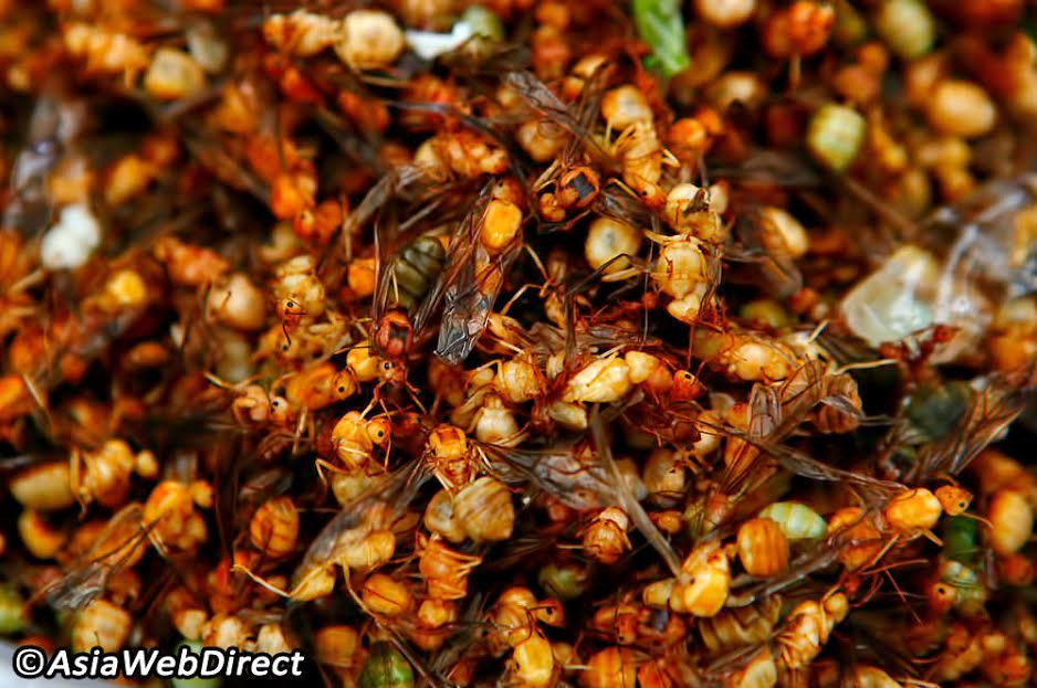 Đối với khách du lịch đến Thái Lan, ban đầu họ thường kinh sợ khi chứng kiến những con côn trùng sống được chế biến chín.