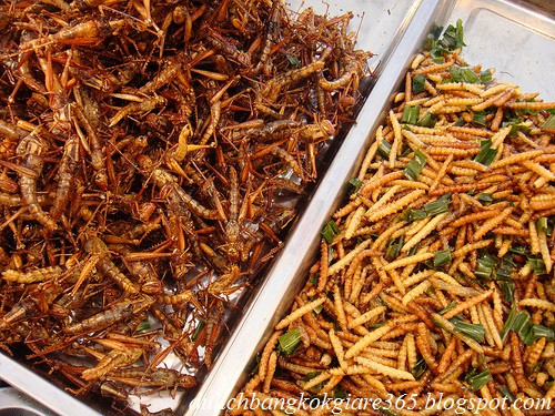 Hầu hết các món côn trùng đều được chiên giòn, ướp thêm một vài gia vị khác như mưới, ớt, sả… để kích thích vị giác cũng như nhìn bắt mắt hơn. Chúng được bán trên các quầy hàng đặc sản côn trùng lưu động ở mọi con phố hay trong những khu vui chơi, giải trí.