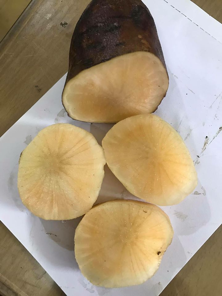 Giải nhiệt cơ thể, làm mát gan: Lấy lá sâm đất đem nấu canh ăn hàng ngày sẽ giúp thanh nhiệt, giải độc gan vô cùng hiệu quả.