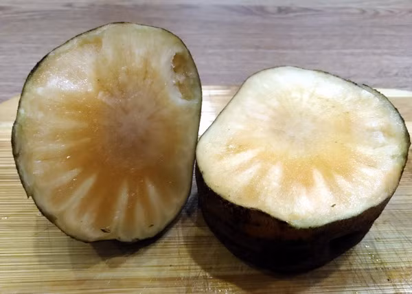 Củ sâm đất được nhiều người ưa chuộng là bởi có nhiều công dụng cho sức khỏe và giá lại rẻ như khoai. Giá mua sâm đất tại vườn chỉ 15.000 đồng, còn giá bán lẻ 30.000 - 60.000 đồng một kg.