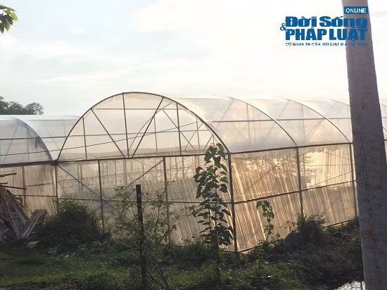 Gia dat xung quanh “trang trai 300 ty” cua su thay Thich Thanh Toan dat the nao?-Hinh-2