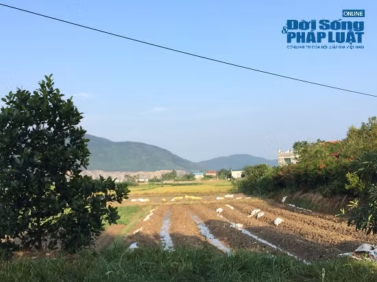 Gia dat xung quanh “trang trai 300 ty” cua su thay Thich Thanh Toan dat the nao?