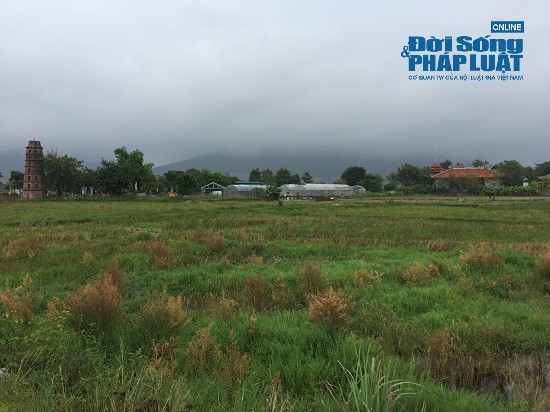 Gia dat xung quanh “trang trai 300 ty” cua su thay Thich Thanh Toan dat the nao?-Hinh-4