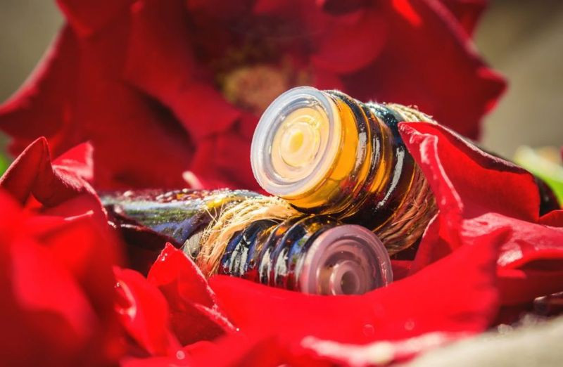 Chăm sóc tóc: Nước hoa hồng chứa các chất dinh dưỡng giúp tóc chắc khỏe và cải thiện lưu thông máu đến tóc, đồng thời chứa các chất chống oxy hóa bảo vệ tóc khỏi tia UV.