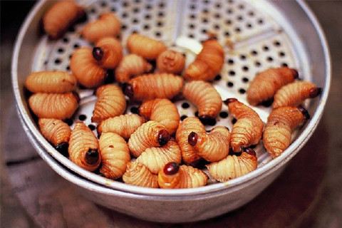 Đuông hấp xôi là món ngày xưa chỉ có vua mới được ăn. Xôi đem hấp vừa cạn nước, để đuông vào miếng lá chuối, đặt lên mặt rồi đậy nắp lại. Xôi chín thì đuông cũng vừa chín tới. Đuông hấp mang theo mùi hương của gạo nếp hấp xôi thơm ngào ngạt, vị béo bùi hấp dẫn. Hoặc có thể chọc cho sữa trong đuông chảy ra, xới trộn đều với xôi.