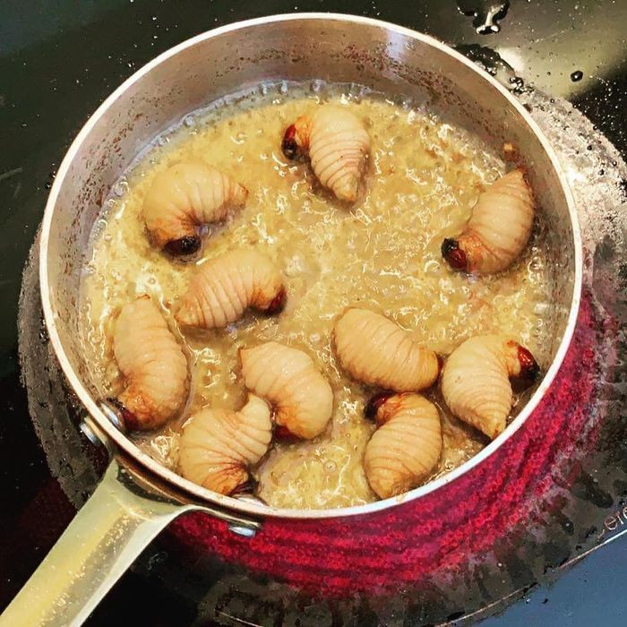 Cháo đuông dừa nấu với nước cốt dừa cũng là món ăn được ưa chuộng. Vị béo của đuông kết hợp với vị ngọt thanh của nước cốt dừa cùng mùi thơm của dừa rất vừa miệng.