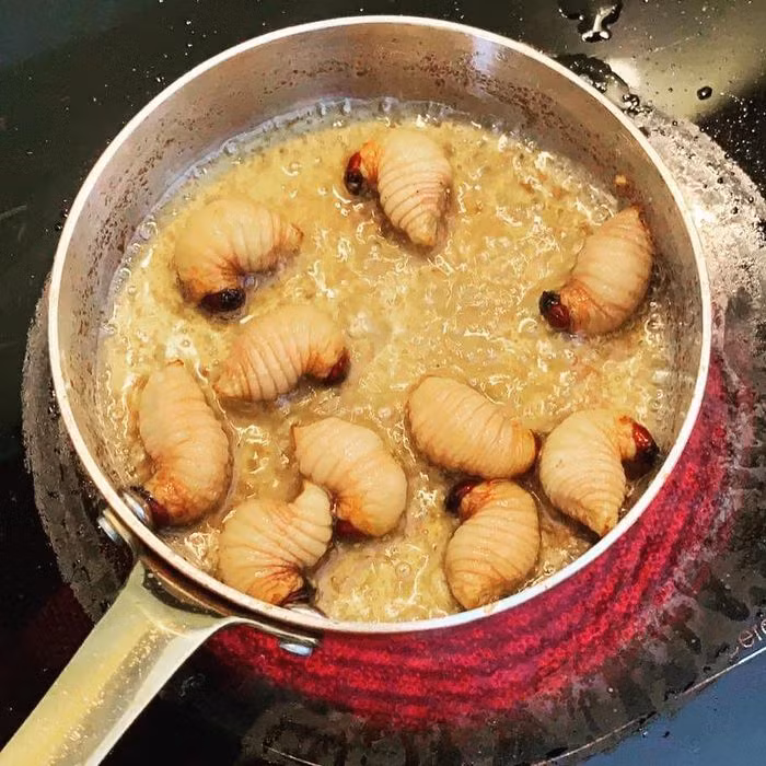 Cháo đuông dừa nấu với nước cốt dừa cũng là món ăn được ưa chuộng. Vị béo của đuông kết hợp với vị ngọt thanh của nước cốt dừa cùng mùi thơm của dừa rất vừa miệng.