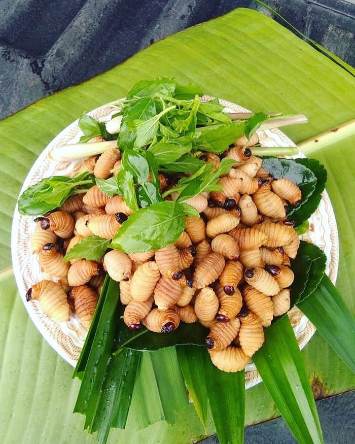 Nhìn bề ngoài đuông dừa có vẻ hơi đáng sợ, nhưng khi ăn vào bạn sẽ có cảm giác như đang ăn phô mai, rất béo ngậy và giòn tan ngay trong miệng.