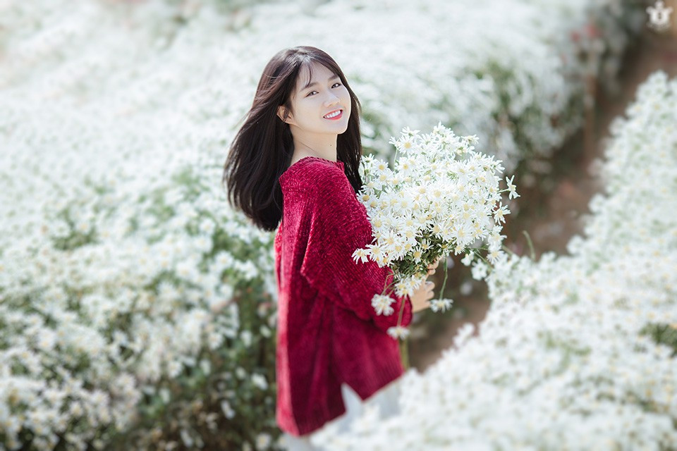 Cứ đến tháng 11 hàng năm, mùa cúc họa mi nở rộ thì người người lại nô nức kéo nhau đi chụp ảnh.