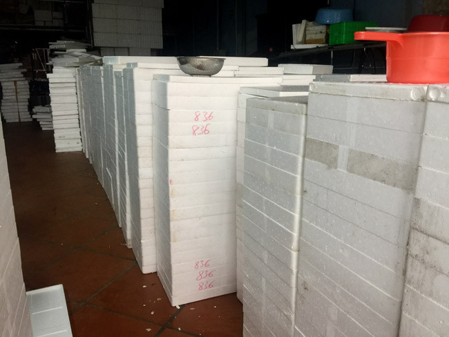 Rươi không chỉ được thu mua từ các xã thuộc huyện nhà mà “bà chủ lộc trời” này còn thu mua khắp các tỉnh thành như: Thanh Hoá, Nam Định, Thái Bình, Hải Phòng….