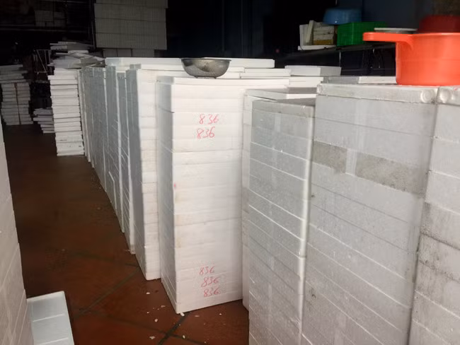 Rươi không chỉ được thu mua từ các xã thuộc huyện nhà mà “bà chủ lộc trời” này còn thu mua khắp các tỉnh thành như: Thanh Hoá, Nam Định, Thái Bình, Hải Phòng….