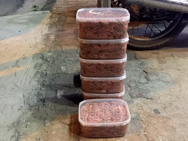 Cũng chính bởi thiếu tính pháp lý nên việc ép giá, phá giá hay số lượng hàng được xuất đi gặp rất nhiều khó khăn. “Mới vào đầu vụ, giá thu mua phía Trung Quốc khá cao, tuy nhiên vào chính vụ, họ ép giá xuống thấp hoặc dừng thu mua mình sẽ thiệt thòi trăm bề”.