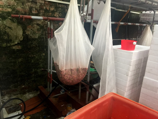 “Chúng tôi rất cần những chuyên gia, những nhà khoa học và đặc biệt một đầu ra ổn định để phát triển kinh tế về sản phẩm “lộc trời cho” này” – ông Tân bày tỏ. Mùa rươi đang vào chính vụ, những ruộng rươi vàng ruộm đang về và mong muốn của những người nông dân nơi đây vẫn canh cánh hàng đêm: rươi không bị ép giá, bị các thương lái ngừng thu mua… 