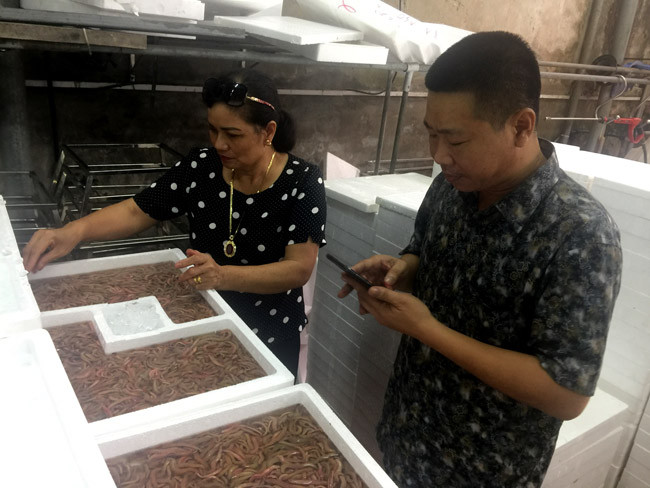 Hiện tại, thị trường trong nước tiêu thụ không nhiều, tuy nhiên theo tìm hiểu của phóng viên, hiện giá rươi loại 1 ở Hà Nội dao động từ 800.000 đến 900.000/1kg.