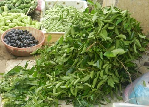 Cây vón vén: Loại cây này thường được các mế (mẹ) gọi vui là cây vén váy. Cây này thường mọc ở trong rừng. Lá cây vón vén có vị chua chua, thường được dùng để nấu canh chua. Đặc biệt là dùng để nấu với cá hoặc ninh xương thì rất ngon.