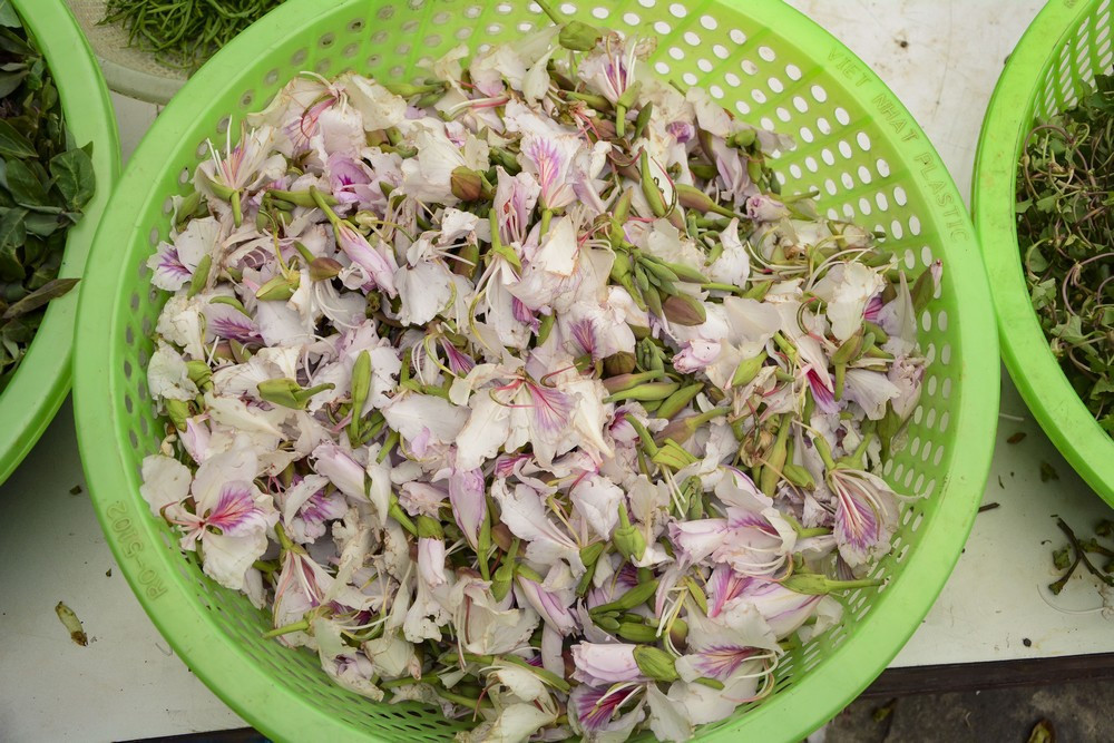 Ngoài ra, hoa ban thường được nấu canh cùng măng đắng như khẳng định thêm về mối tình khăng khít giữa chàng Kho và nàng Han trong truyền thuyết của người Thái.