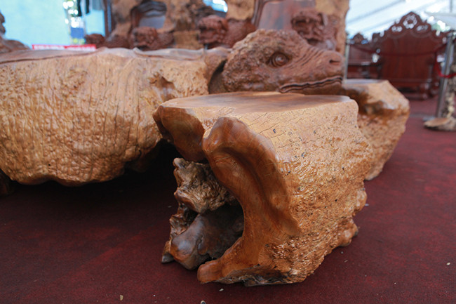 Những phần gỗ nu được làm sạch, đánh bóng nhìn rất kỳ dị. Theo anh Minh, đã có người trả giá nhưng chưa hợp lý nên anh không bán.