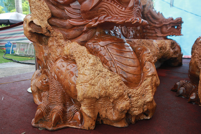 “Gỗ nu” là bướu gỗ, được hình thành từ sẹo cây, thường được chế tác bàn ghế, lục bình, tượng Phật.