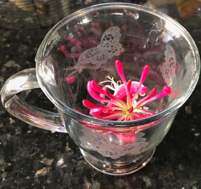 Giảm cảm giác buồn nôn: Trà kim ngân rất hiệu quả đối với các bệnh nhân viêm gan C bởi chúng hỗ trợ làm giảm các cơn buồn nôn khó chịu và tình trạng nôn mửa.