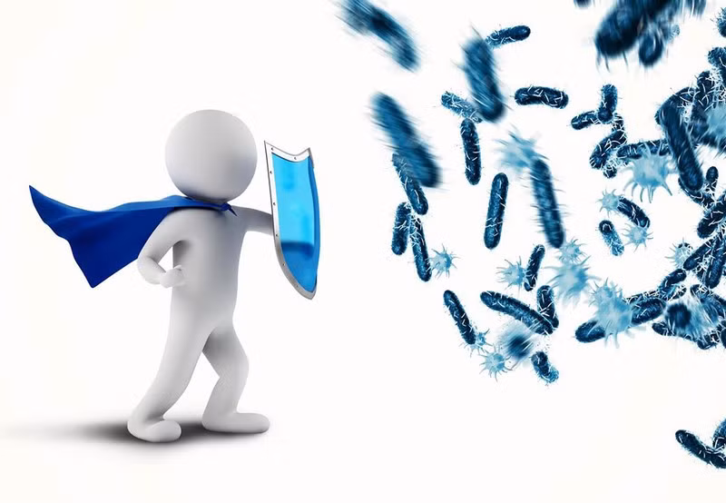 Bảo vệ cơ thể trước sự lây nhiễm các loại vi khuẩn: Trà kim ngân hoa được ho là có có các thành phần hỗ trợ đào thải các tác nhân gây bệnh, các loại vi khuẩn có hại như tuberculosis (gây bệnh lao) và salmonella (khiến thức ăn trở thành độc).