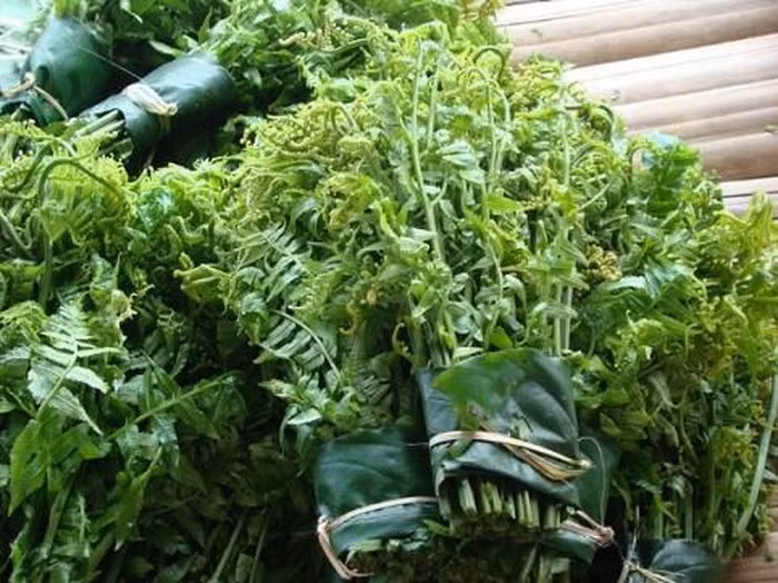 Rau dớn (dương xỉ): Đây là loại rau mọc hoang dã bìa rừng và ven các dòng suối có hình dạng tựa như dương xỉ. Đây được coi là loại rau đặc sản, rau sạch không những được bán thường xuyên trong các chợ phiên Tây Bắc mà còn được người dân mang bán sang Trung Quốc với giá khá cao.